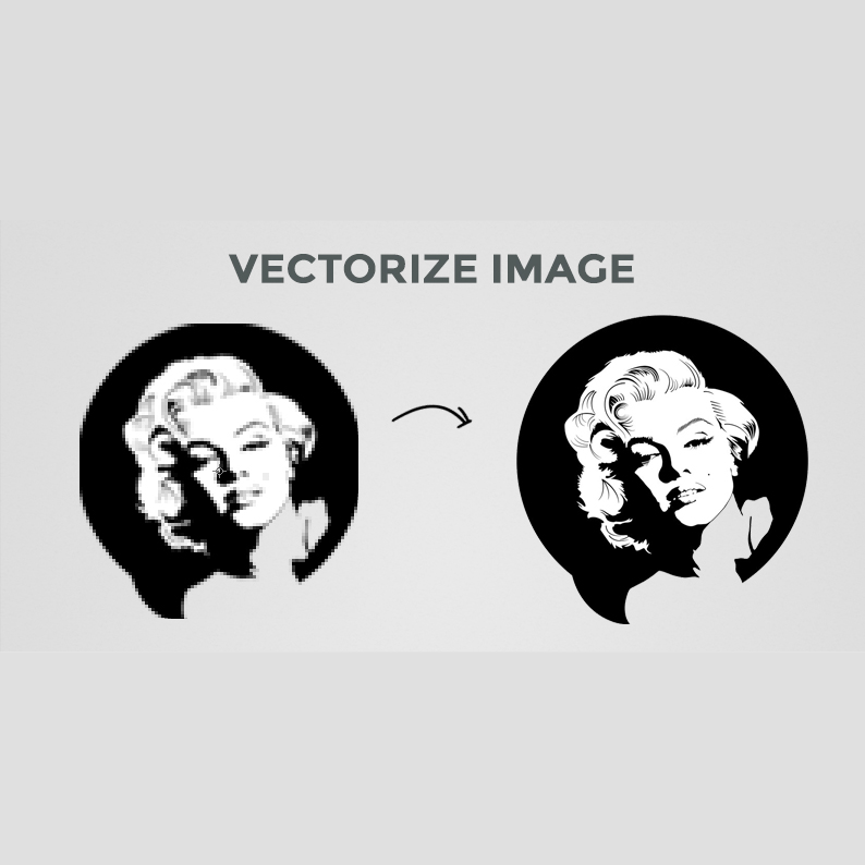 vectorize-image s